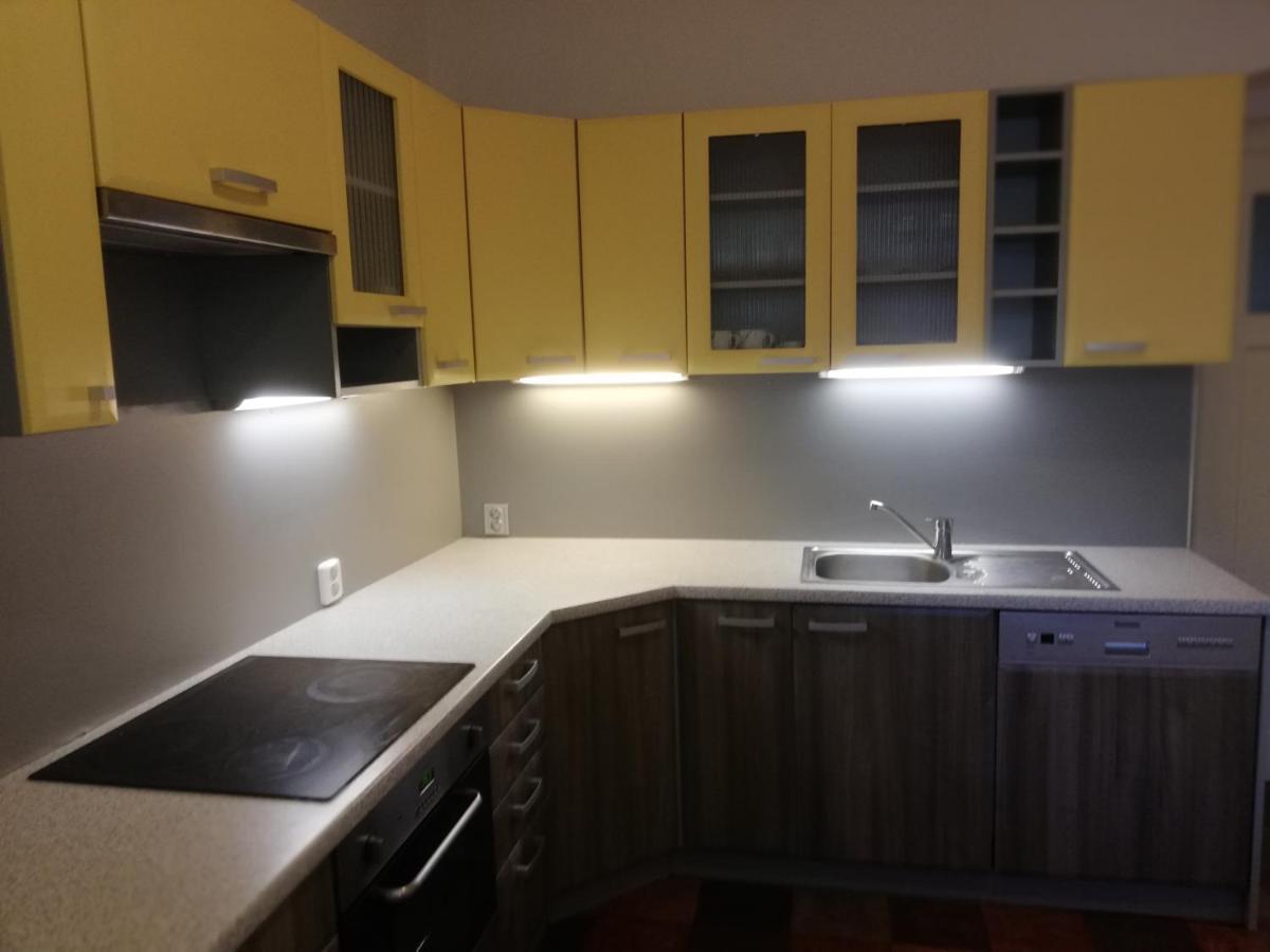 Apartment 70M2 Karlovy Vary Luaran gambar